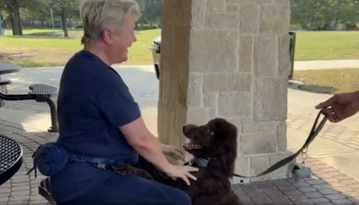 Beth Lama, known in Frisco as "The Good Dog Lady," explains options to train your dog this holiday season. December is one of the busiest dog adoption months of the year. 